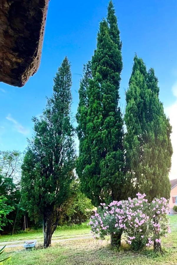 Apartman Boljevic พอดโกริกา ภายนอก รูปภาพ